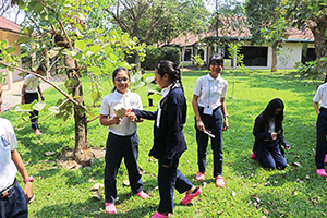 JPA Image Gallery - Students collecting plant specimens around campus - Jay Pritzker Academy, Siem Reap, Cambodia